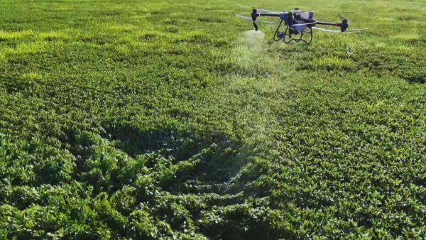 Los drones aplicadores amplían las posibilidades de manejo en los cultivos